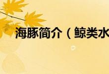 海豚简介（鲸类水生哺乳动物海豚简介）