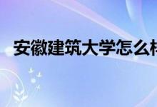 安徽建筑大学怎么样（该校有多少教职工）
