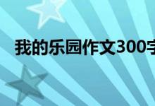 我的乐园作文300字（我的乐园作文范文）