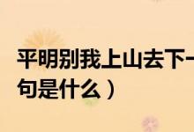 平明别我上山去下一句（平明别我上山去下一句是什么）