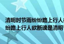 清明时节雨纷纷路上行人欲断魂是什么节日（清明时节雨纷纷路上行人欲断魂是清明节）
