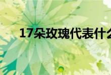 17朵玫瑰代表什么（17朵玫瑰的含义）