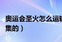 奥运会圣火怎么运输（奥运会圣火是从哪里采集的）