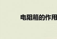 电阻箱的作用（是怎么样的呢）
