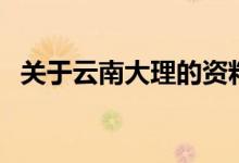 关于云南大理的资料（云南省大理的简介）