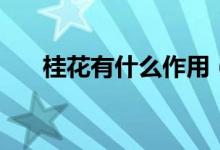 桂花有什么作用（桂花的作用有哪些）