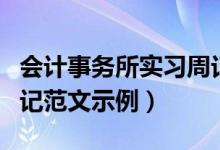 会计事务所实习周记范文（会计事务所实习周记范文示例）