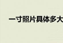 一寸照片具体多大（一寸照片有多大呢）