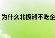 为什么北极熊不吃企鹅（今日我们一起揭秘）