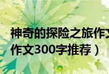 神奇的探险之旅作文300字（神奇的探险之旅作文300字推荐）