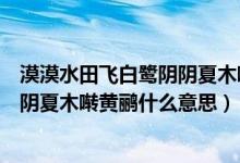 漠漠水田飞白鹭阴阴夏木啭黄鹂的意思（漠漠水田飞白鹭阴阴夏木啭黄鹂什么意思）