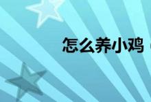 怎么养小鸡（如何饲养小鸡）
