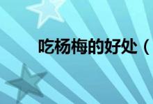 吃杨梅的好处（吃杨梅有什么好处）