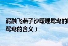泥融飞燕子沙暖睡鸳鸯的睡是什么意思(泥融飞燕子沙暖睡鸳鸯的含义)