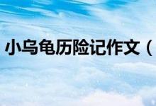 小乌龟历险记作文（小乌龟历险记作文范文）