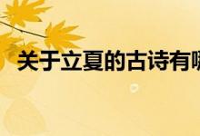 关于立夏的古诗有哪些（立夏的古诗汇总）