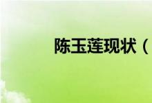 陈玉莲现状（最美小龙女之一）