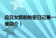 应召女郎的秘密日记第一季剧情（应召女郎的秘密日记第一季简介）