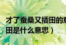 才了蚕桑又插田的意思是什么（才了蚕桑又插田是什么意思）