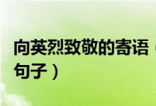 向英烈致敬的寄语（这些都是致敬英雄的经典句子）