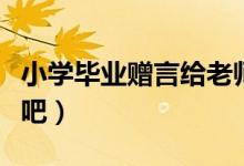 小学毕业赠言给老师内容（大家一起来了解下吧）
