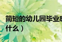 简短的幼儿园毕业感言（幼儿园毕业可以说到什么）