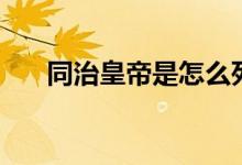 同治皇帝是怎么死的（同治皇帝是谁）