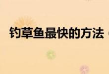 钓草鱼最快的方法（野钓草鱼最有效方法）