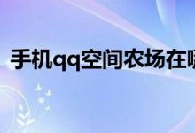 手机qq空间农场在哪里(怎么打开qq农场)
