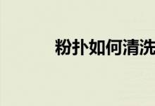 粉扑如何清洗（怎么清洗粉扑）