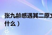 张九龄感遇其二原文（张九龄感遇其二原文是什么）