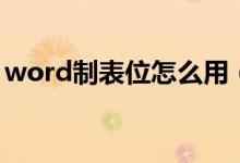 word制表位怎么用（word制表位怎么制作）