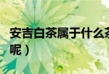 安吉白茶属于什么茶（安吉白茶属于什么品种呢）