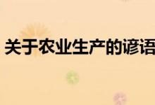 关于农业生产的谚语（有关农业生产的句子）