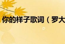你的样子歌词（罗大佑演唱的你的样子歌词）