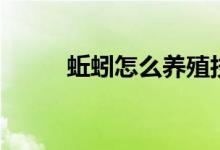 蚯蚓怎么养殖技术(蚯蚓怎么养)