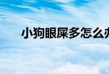 小狗眼屎多怎么办（什么原因造成的）