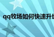 qq牧场如何快速升级（qq牧场怎样升级快）