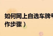 如何网上自选车牌号（全国通用）（有哪些操作步骤）