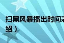 扫黑风暴播出时间表（扫黑风暴播出时间表介绍）