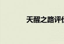 天醒之路评价（作者是谁啊）
