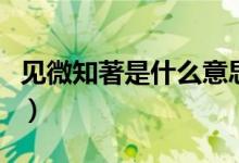 见微知著是什么意思（见微知著的含义是什么）