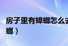 房子里有蟑螂怎么去除（怎么消灭屋子里的蟑螂）