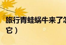 旅行青蛙蜗牛来了怎么办（我们可以这样招待它）