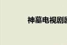 神墓电视剧剧情（剧情介绍）