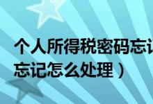 个人所得税密码忘记怎么办（个人所得税密码忘记怎么处理）