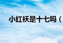 小红袄是十七吗(该剧讲述了什么故事)
