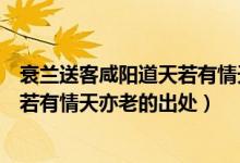 衰兰送客咸阳道天若有情天亦老的意思（衰兰送客咸阳道天若有情天亦老的出处）