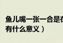 鱼儿嘴一张一合是在干什么（鱼儿嘴一张一合有什么意义）