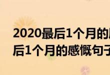 2020最后1个月的朋友圈文案说说（2020最后1个月的感慨句子）